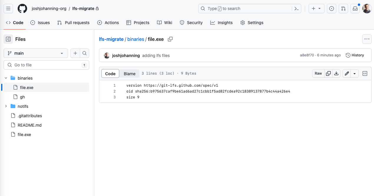 Missing Git LFS file (pointer) in GitHub